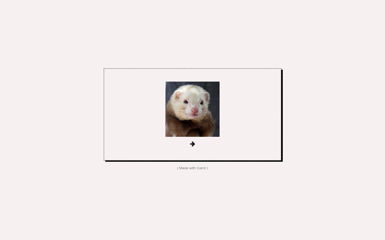 Carrd profile picture for @ferrets